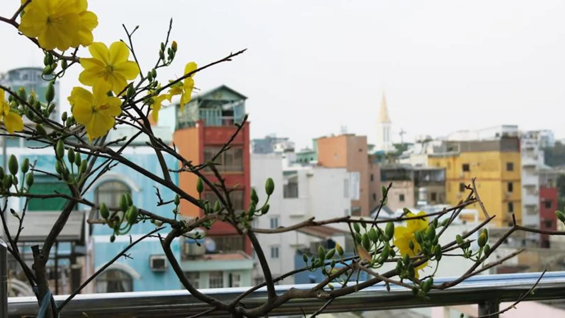 Banana Leaf Hotel Ho Chi Minh City 2*,